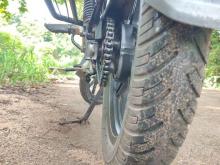 https://riyasewana.com/uploads/bajaj-pulsar-135-5845136285.jpg
