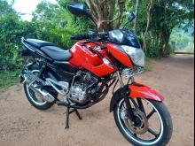 https://riyasewana.com/uploads/bajaj-pulsar-135-614133919195.jpg