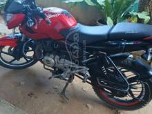 https://riyasewana.com/uploads/bajaj-pulsar-135-61942371379371.jpg