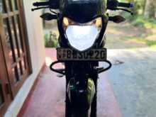 Bajaj Pulsar 135 2016 Motorbike