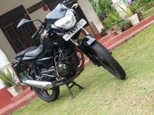 Bajaj Pulsar 135 2013 Motorbike