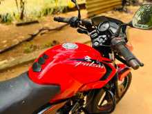 https://riyasewana.com/uploads/bajaj-pulsar-135ls-2910083113382.jpg