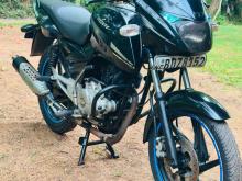 Bajaj Pulsar 150 2016 Motorbike