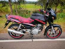 Bajaj Pulsar 150 2024 Motorbike