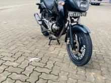 Bajaj Pulsar 150 2014 Motorbike