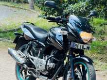 Bajaj Pulsar 150 2016 Motorbike