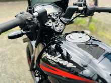 Bajaj Pulsar 150 2019 Motorbike