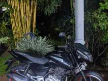 https://riyasewana.com/uploads/bajaj-pulsar-150-272045422082.jpg