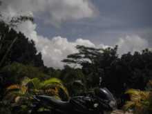 https://riyasewana.com/uploads/bajaj-pulsar-150-419284313773.jpg