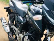 Bajaj Pulsar 2015 Motorbike