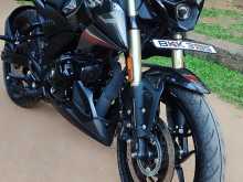 Bajaj Pulsar 2025 Motorbike
