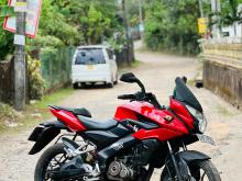 Bajaj Pulsar 2015 Motorbike