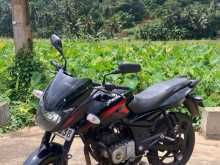 Bajaj Pulsar BBD 2014 Motorbike