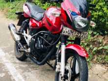 Bajaj Pulsar 2008 Motorbike