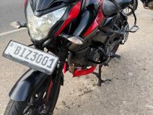 Bajaj Pulsar 2019 Motorbike