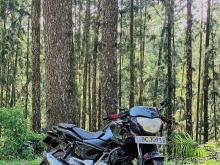 Bajaj Pulsar 2018 Motorbike