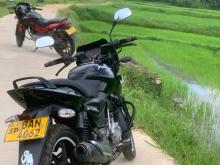 Bajaj Pulsar 2015 Motorbike