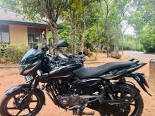 Bajaj Pulsar 2019 Motorbike