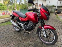 Bajaj Pulsar 2008 Motorbike