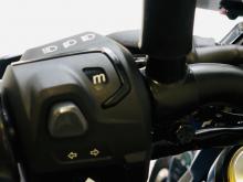https://riyasewana.com/uploads/bajaj-pulsar-311717568914.jpg