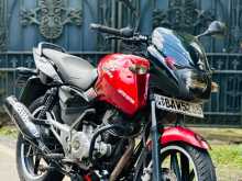 Bajaj Pulsar 2014 Motorbike