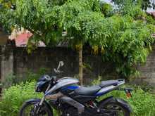 Bajaj Pulsar NS200 2025 Motorbike