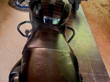 https://riyasewana.com/uploads/bajaj-pulsar-twine-1111561213364.jpg