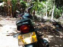 https://riyasewana.com/uploads/bajaj-pulsar150-27926044142.jpg