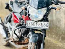Bajaj Pulsar 135 2014 Motorbike