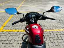 https://riyasewana.com/uploads/bajaj-pulser-135-111124071996.jpg