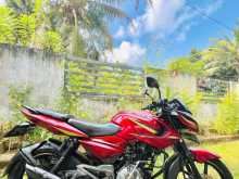 Bajaj Pulser 135 2017 Motorbike