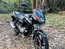 Bajaj Pulsar 150 2015 Motorbike