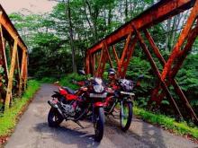 Bajaj Pulsar 150 2016 Motorbike