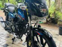 Bajaj Pulsar 150 2019 Motorbike