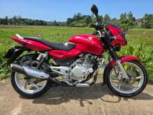 Bajaj Pulsar 150 2009 Motorbike