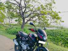 Bajaj Pulsar 150 2014 Motorbike