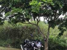 Bajaj Pulsar 2005 Motorbike