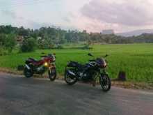 https://riyasewana.com/uploads/bajaj-pulser-180-241946414733.jpg