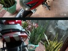 Bajaj Pulsar 200 2010 Motorbike