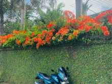 Bajaj Pulsar 2006 Motorbike