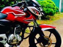 Bajaj Pulsar 2013 Motorbike