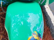 Photo 7