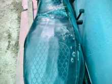 https://riyasewana.com/uploads/bajaj-xcd-125-1915040513284.jpg