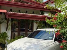BMW 318i 2016 Car