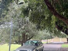 BMW E34 520i 1989 Car