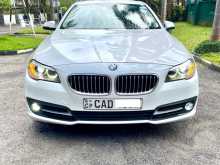 BMW 520d 3 Option 2013 Car