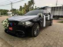 BMW 520d 2013 Car