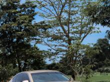BMW 520d 2013 Car