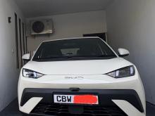 BYD Atto1 2026 Car