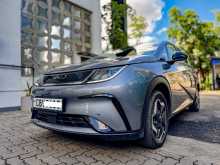 BYD Dolphin 2026 Car